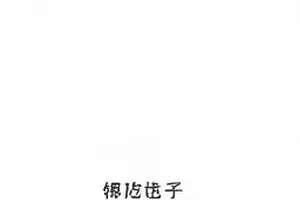 《午夜取景器》综艺夜间摄像机取景框与监视器